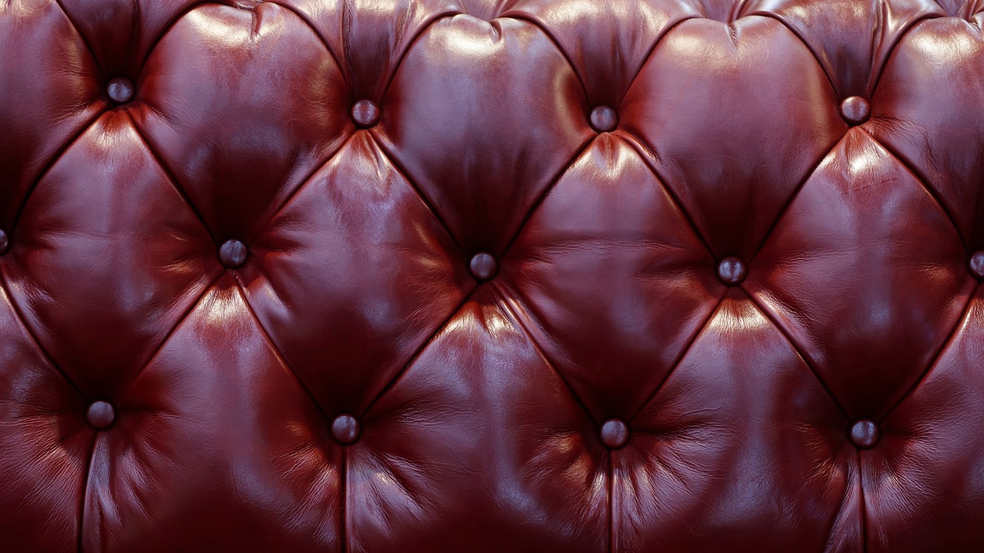 Odoo • Imagen y texto