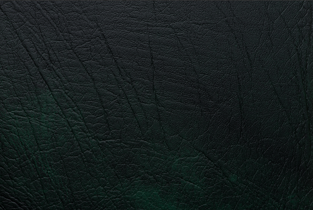 Odoo • Una imagen con una leyenda