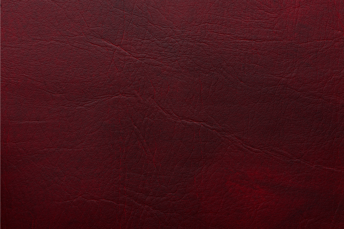 Odoo • Una imagen con una leyenda