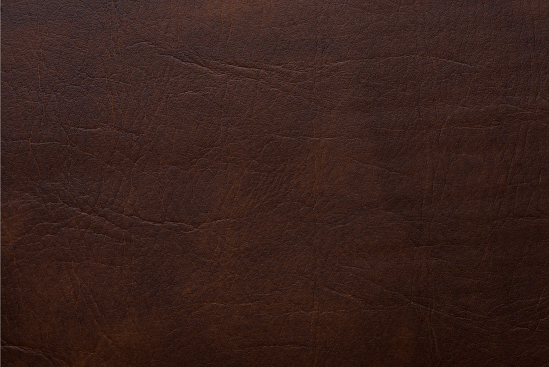 Odoo • Una imagen con una leyenda