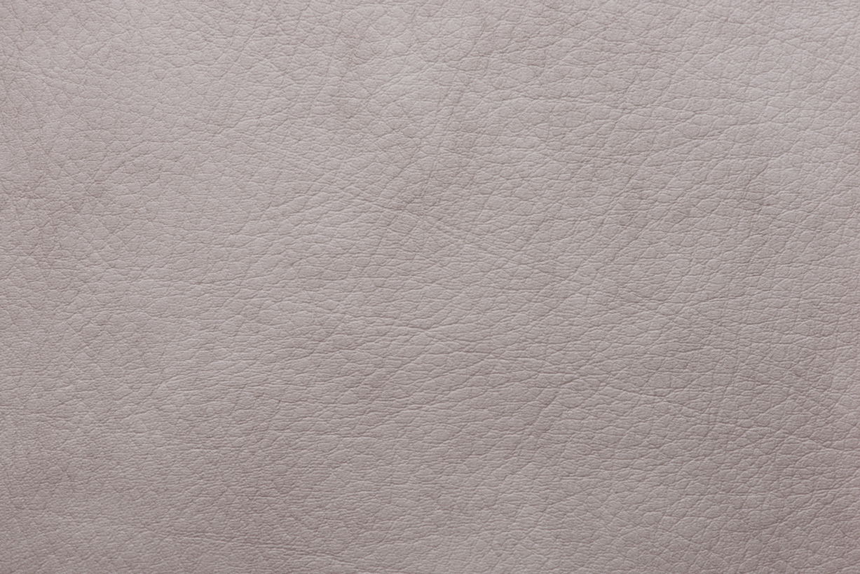 Odoo • Una imagen con una leyenda